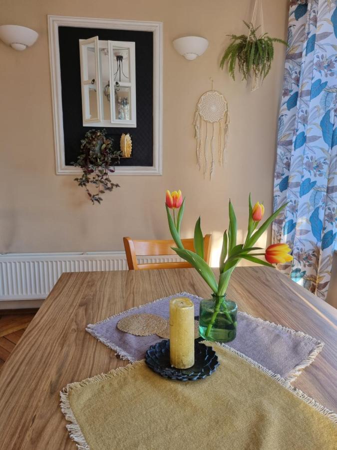 Adria Bed and Breakfast Myślibórz Exteriör bild